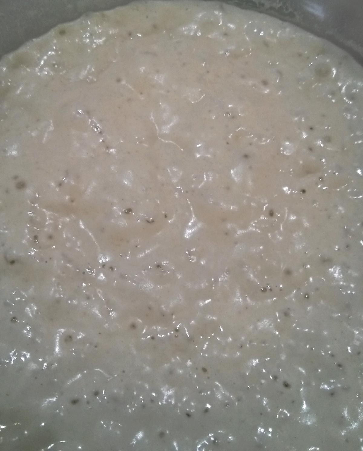 pane-tumminia-prefermento