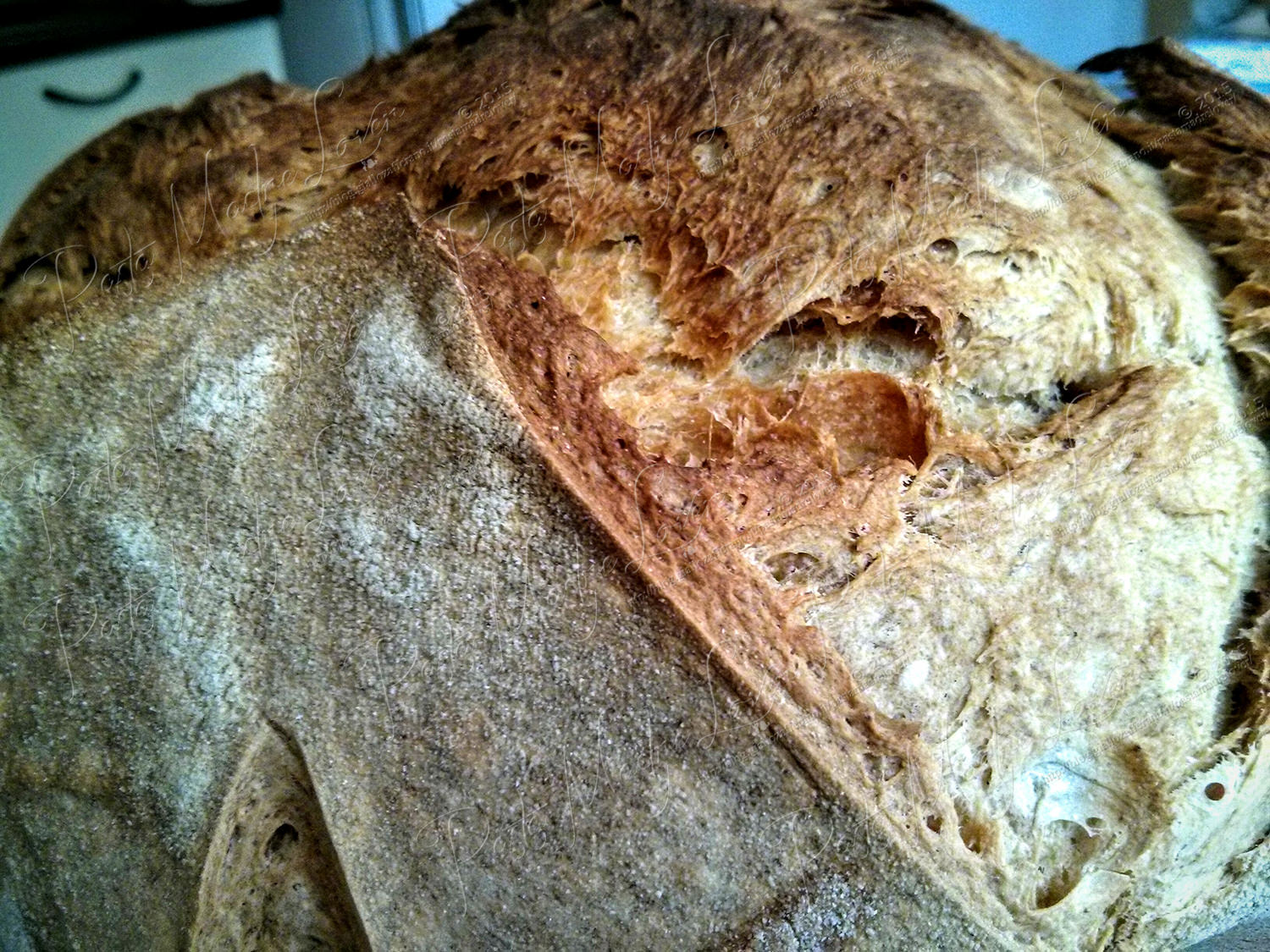 Pane di semola rimacinata con lcoli